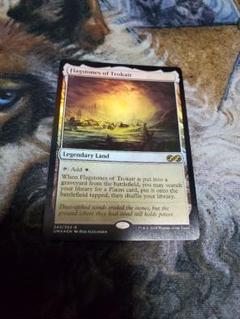 Amazon.co.jp: MTG《トロウケアの敷石Flagstones of Trair》[時