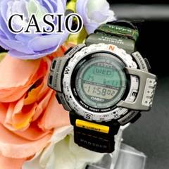 数量限定SALE 稼動 希少 限定 腕時計 D97 新品電池 WWF プロトレック CASIO 時計