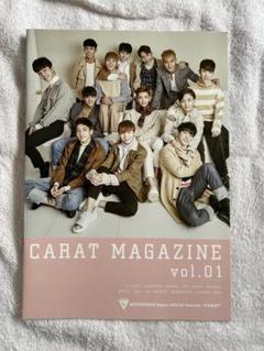 2025年最新】seventeen会報誌の人気アイテム - メルカリ