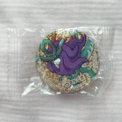Pokemon ポケモン オリジナルホログラムマグネット ウネルミナモ