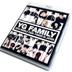 YG ファミリーコンサート ファースト ケープブランケット 2025年最新】YGファミリーコンサートの人気アイテム - メルカリ