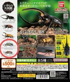2025年最新】カナブン 標本の人気アイテム - メルカリ