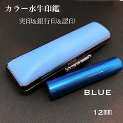 カラー水牛印鑑芯持ち☆シルバー２本セット　銀行印＆実印サイズ 楽天市場】【10％OFFクーポン配布中】 印鑑・はんこ 実印 銀行印