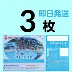 東京 サマーランド　１DAYパス　株主ご招待券　3枚　遊園地　優待