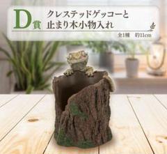 【新品】爬虫類＆両生類　一番くじ　クレステッドゲッコーと止まり木小物入れ 一番くじ 爬虫類＆両生類 D賞 クレステッドゲッコーと止まり木