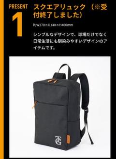 DESCENTE野球リュック 美し