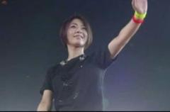 宇多田ヒカル　WILDLIFE ライブTシャツｌ