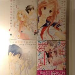 僕の楽園の中古 未使用品を探そう メルカリ