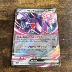 ゲノセクトEX 美品 bw 楽天市場】ゲノセクト ポケモンカードの通販