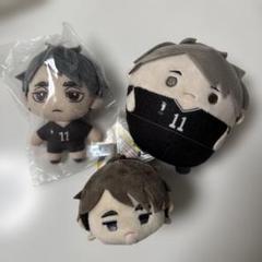 ハイキュー ふわコロリン 灰葉リエーフ 北信介 宮治　ぬいぐるみ ハイキュー!! ふわコロりんBIG スペシャル H 北信介 | 公式