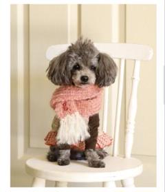 新品　Atelier GG (2サイズ) チェックシャツ　犬服 アトリエgg⭐︎チェックシャツ(2) - 犬服・アクセサリー