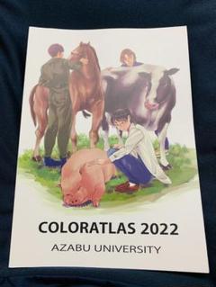 最新版　麻布大学　カラーアトラス　2022 参考書 本 本・音楽・ゲーム 新品・在庫有り