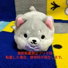 新品 ふんわり まるしばさん ぬいぐるみ 柴犬 わんこ