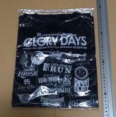 B'z 新品未使用 GLORY DAYS アルミボトル タオル ポストカード 2025年最新】b'z グッズ glory daysの人気アイテム - メルカリ