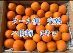 2025年最新】八助梅の人気アイテム - メルカリ