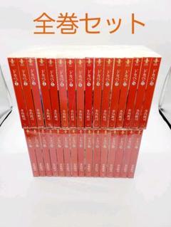 100%安い ■全48巻■文庫版『ドカベン』全31巻『大甲子園』全17巻■完結セット■水島新司 - 全巻セット