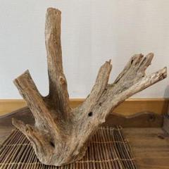 流木 インテリア
