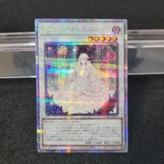 2025年最新】ガーデン・ローズ・メイデン 25thの人気アイテム