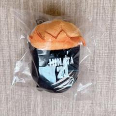 ハイキュー　のるキャラマスコット　日向翔陽(BJ)