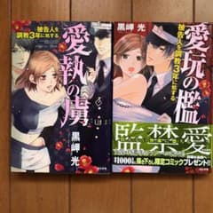 愛執の虜 被告人を調教3年に処するの中古 未使用品を探そう メルカリ