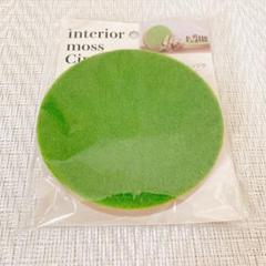 ［新品］セリア　インテリアモス　サークル
