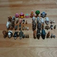 シャクレル カービィの中古 未使用品を探そう メルカリ