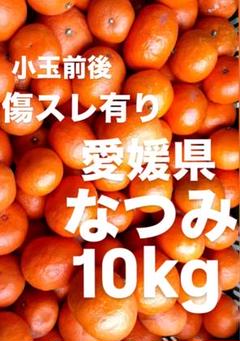 2025年最新】なつみ 柑橘の人気アイテム - メルカリ