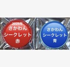 あほの坂田 さかわん 2025 水色 シークレット シクレ 缶バッジ