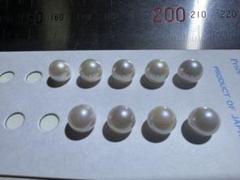 あこや真珠　パール　約6.5mm 9コ