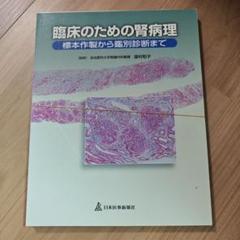 m80570502948_1.jpg?1746107134