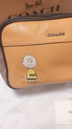 新品/未使用 COACH F73952 コンバーチブル ベルトバッグボディバッグ 新品/未使用 COACH F73952 コンバーチブル ベルトバッグボディバッグ