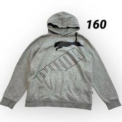 puma プーマ フーディ パーカー グレー キッズ160