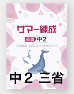 練成会 練成ワーク▪️入試対策テキスト▪️国語ワーク Amazon | WI04-051 練成会 入試対策テキスト 国語英語数学理科