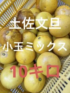 2025年最新】土佐文旦 赤玉ミックスの人気アイテム - メルカリ
