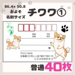 【チワワ①】宛名シール　差出人シール　普通サイズ　40枚　シンプル　動物　犬