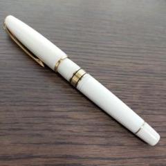 ウォーターマン チャールストンの検索結果 - メルカリ