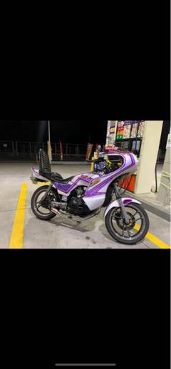 GSX250Eゴキ刀SUZUKIリアドラムブレーキ足回り