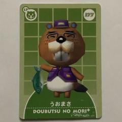 どうぶつの森 e + ゲームキューブ用カード うおまさ