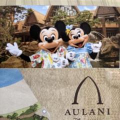非売品大人気AULANI ポスターセットハワイ　 アウラニホテル　A4 ホノルル 2025年最新】アウラニホテルの人気アイテム - メルカリ