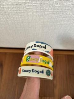 2025年最新】saucydog ラバーバンドの人気アイテム - メルカリ