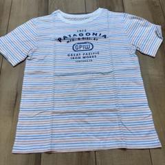 パタゴニア　ティシャツ　Sサイズ