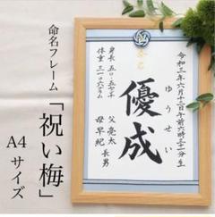 non.HA　命名書オーダー「祝い梅」A4サイズ 楽天市場】命名紙 用紙のみ デザイン命名紙（梅）【命名書台紙