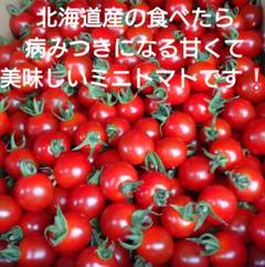北海道産厳選ミニトマト