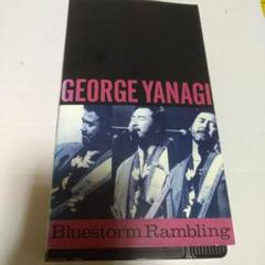 柳ジョージ　ライブビデオテープ　 Bluestorm Rambling　VHS