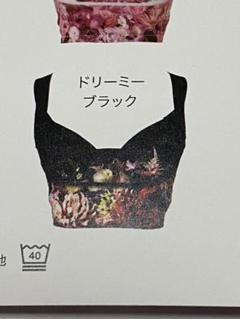 セレブラMサイズ