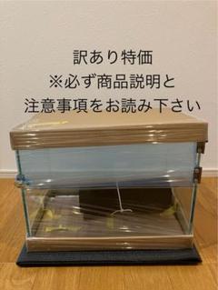 訳あり品 特価品 イモリウム テラリウム 40cm水槽 アクアサイダー 訳あり品 特価品 イモリウム テラリウム 40cm水槽 アクア