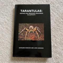 洋書　タランチュラス: タランチュラの飼育と繁殖に関する本 洋書 タランチュラス: タランチュラの飼育と繁殖に関する本