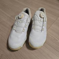 DESCENTE　GOLF スパイクシューズ BOAシステム