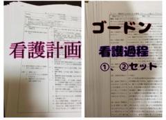 看護計画　ゴードン看護過程