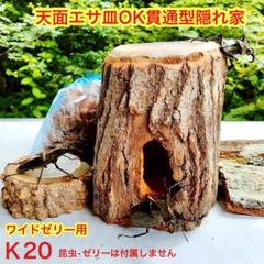 森兵衛  クラフトウッド  テラリウム  餌皿 森兵衛 クラフトウッド テラリウム 餌皿